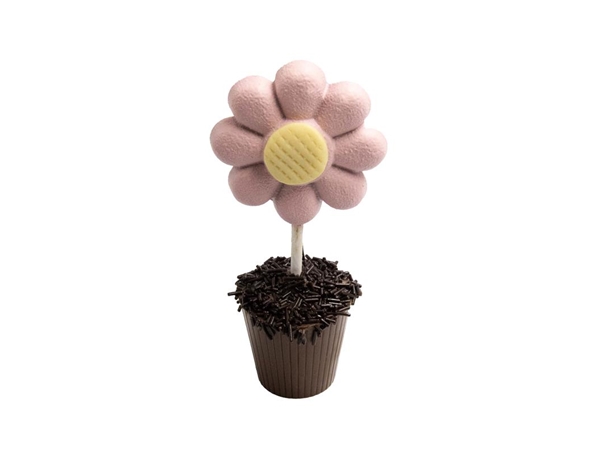 Chocolade bloempotje